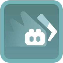 Steel Wing icon